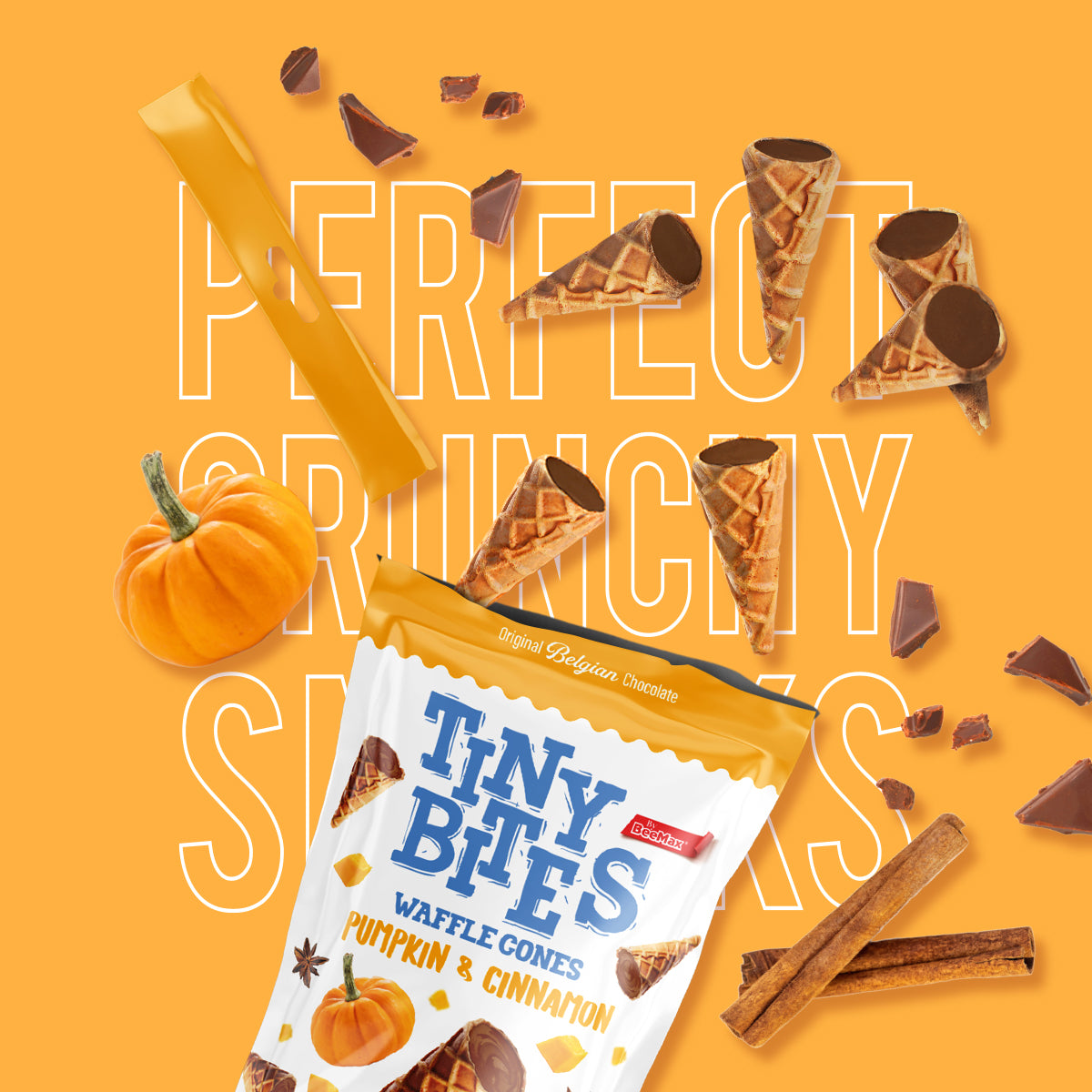 Tiny Bites Pumpkin & Cinnamon 4.24 oz